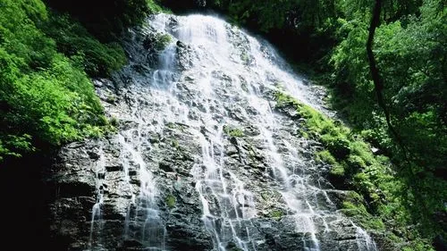 高标准高端电子